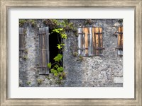 Framed Tropical Plants, St Pierre, Martinique, French Antilles, West Indies