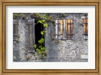 Framed Tropical Plants, St Pierre, Martinique, French Antilles, West Indies