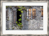 Framed Tropical Plants, St Pierre, Martinique, French Antilles, West Indies