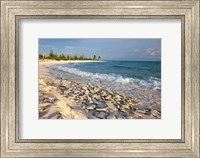 Framed Waves, Coral, Beach, Punta Arena, Mona, Puerto Rico