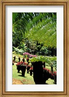 Framed Tropical Plants at the Pitons du Carbet, Martinique, Caribbean