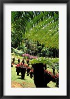 Framed Tropical Plants at the Pitons du Carbet, Martinique, Caribbean