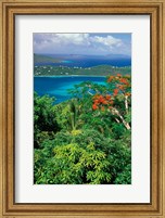 Framed Magens Bay, St Thomas, Caribbean
