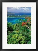 Framed Magens Bay, St Thomas, Caribbean