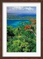 Framed Magens Bay, St Thomas, Caribbean