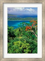 Framed Magens Bay, St Thomas, Caribbean