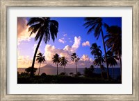Framed Coastline, St Kitts