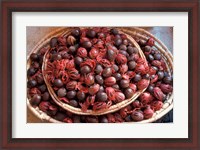 Framed Nutmeg in Public Market, Castries, Caribbean