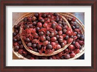 Framed Nutmeg in Public Market, Castries, Caribbean