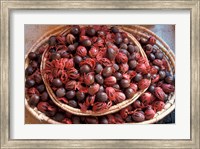 Framed Nutmeg in Public Market, Castries, Caribbean