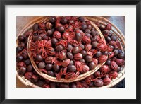 Framed Nutmeg in Public Market, Castries, Caribbean