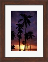Framed Palm Trees at Sunset, Puerto Rico