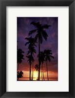 Framed Palm Trees at Sunset, Puerto Rico