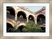 Framed Balcony with Flowers and Trees, Puerto Rico