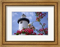 Framed Puerto Rico, Viegues Island, lighthouse of Rincon