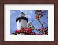 Framed Puerto Rico, Viegues Island, lighthouse of Rincon
