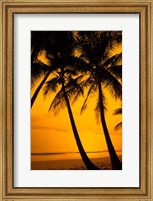 Framed Sunset and Palms, San Juan, Puerto Rico