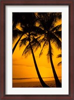 Framed Sunset and Palms, San Juan, Puerto Rico