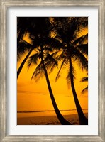 Framed Sunset and Palms, San Juan, Puerto Rico