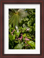 Framed Tropical flowers and palm tree, Grand Cayman, Cayman Islands, British West Indies