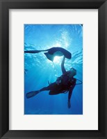 Framed Snorkeling, Stingray City, Grand Cayman, Caribbean