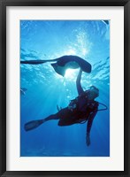 Framed Snorkeling, Stingray City, Grand Cayman, Caribbean