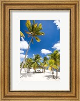 Framed Southern Cross Club, Little Cayman, Cayman Islands, Caribbean