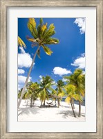 Framed Southern Cross Club, Little Cayman, Cayman Islands, Caribbean