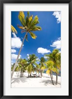 Framed Southern Cross Club, Little Cayman, Cayman Islands, Caribbean