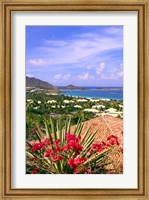 Framed Orient Bay and pink flowers, St Martin, Caribbean