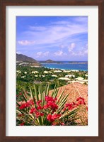Framed Orient Bay and pink flowers, St Martin, Caribbean