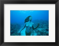 Framed Cayman Islands, Mermaid statue, coral reef