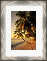 Framed Beach at Sunset, Trinidad, Caribbean
