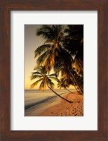 Framed Beach at Sunset, Trinidad, Caribbean