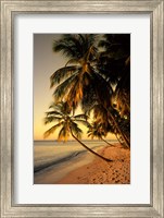 Framed Beach at Sunset, Trinidad, Caribbean