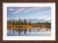 Framed Canada, Alberta, Jasper National Park Scenic of Cottonwood Slough