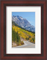 Framed Canada, Alberta, Jasper NP Scenic of The Icefields Parkway