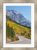 Framed Canada, Alberta, Jasper NP Scenic of The Icefields Parkway