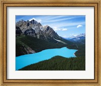 Framed Peyto Lake, Banff National Park, Alberta, Canada