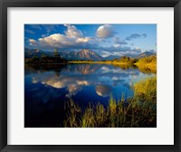 Framed Maskinonge Lake, Wateron Lakes National Park, Alberta, Canada