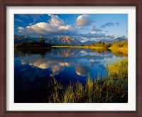 Framed Maskinonge Lake, Wateron Lakes National Park, Alberta, Canada