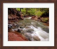 Framed Lost Horse Creek, Wateron Lakes National Park, Alberta, Canada