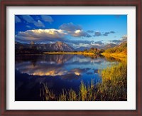 Framed Maskinonge Lake, Waterton Lakes National Park, Alberta