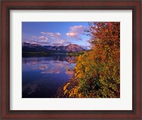 Framed Maskinonge Lake with mountains in the background, Waterton Lakes National Park, Alberta