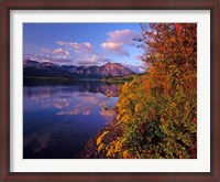 Framed Maskinonge Lake with mountains in the background, Waterton Lakes National Park, Alberta