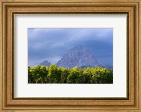 Framed Crowsnest Mountain at Crownest Pass in Alberta, Canada