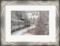 Framed Via Rail Snow Train Between Edmonton & Jasper, Alberta, Canada