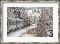 Framed Via Rail Snow Train Between Edmonton & Jasper, Alberta, Canada