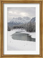 Framed Icefields Parkway, Jasper National Park, Alberta, Canada