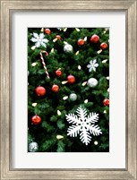 Framed Christmas decorations on tree